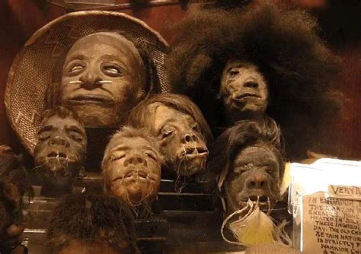 Are shrunken heads legal? – Celebrity.fm – #1 Official Stars, Business & People Network, Wiki, Success story, Biography & Quotes