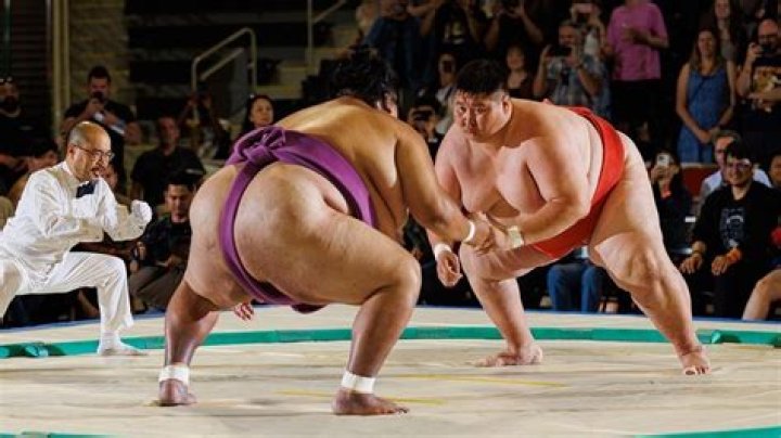 Can sumo wrestlers punch? – Celebrity.fm – #1 Official Stars, Business & People Network, Wiki, Success story, Biography & Quotes