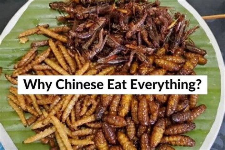 Can werewolves eat normal food?