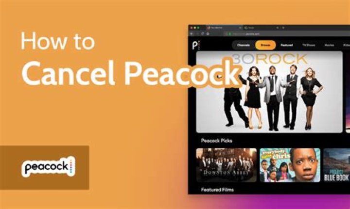 ¿Puedes deshacerte de los anuncios en Peacock? – Celebrity.fm