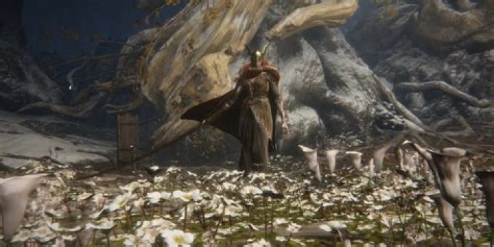 ¿Puedes mejorar la armadura en Elden Ring?