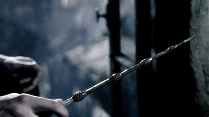 Did Dumbledore steal Elder Wand? – Celebrity.fm – #1 Official Stars, Business & People Network, Wiki, Success story, Biography & Quotes