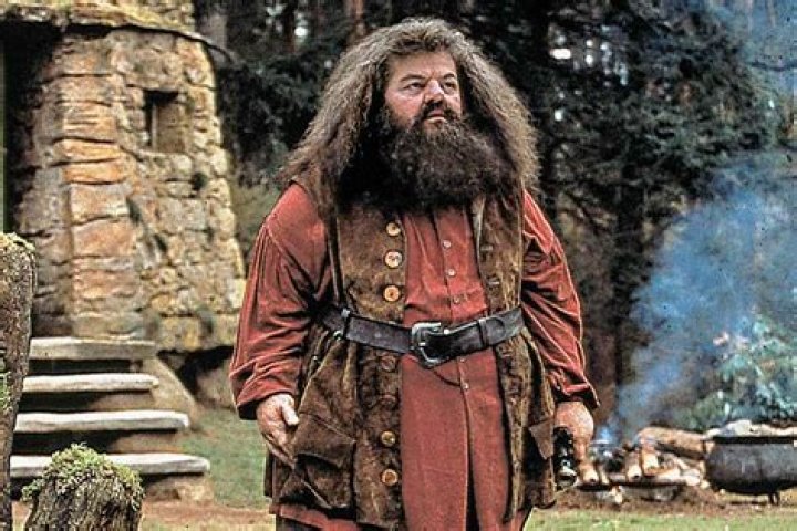 Did the actor who played Hagrid wear a mask?