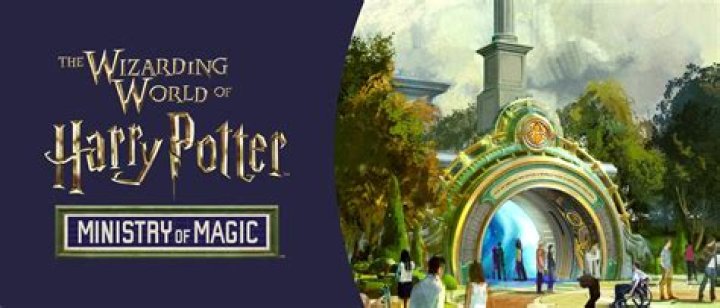 Does Harry Potter work for the Ministry of Magic?