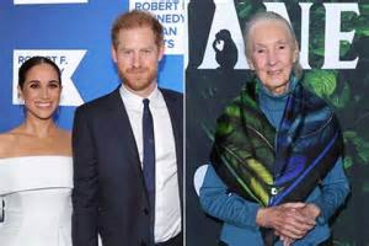 ¿Jane permanece virgen?