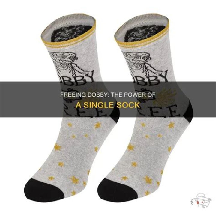 How did a sock free Dobby?