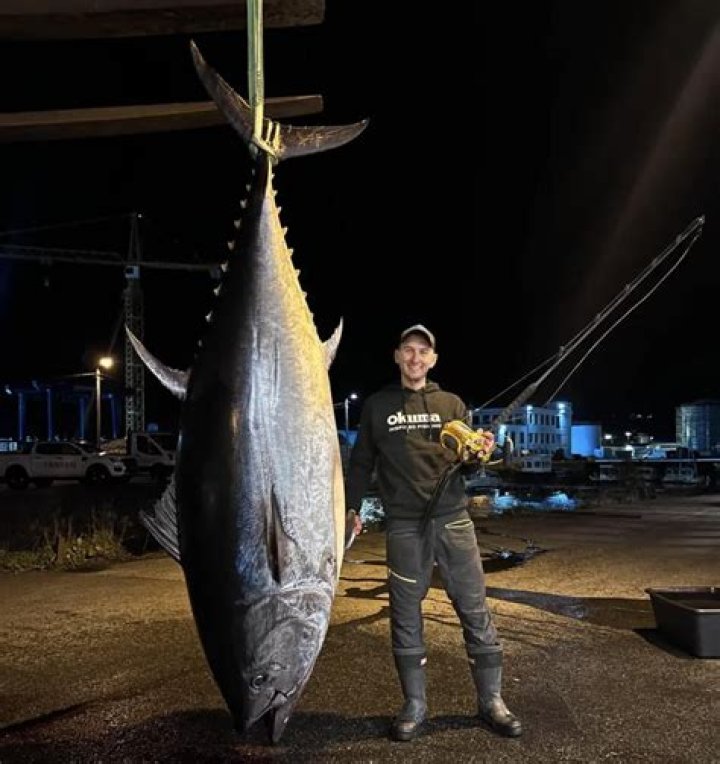 How do tuna fishermen make money?