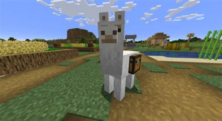 How do you feed llamas in Minecraft? – Celebrity.fm – #1 Official Stars, Business & People Network, Wiki, Success story, Biography & Quotes
