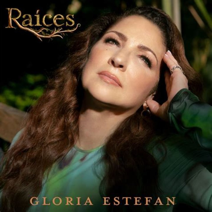¿Cómo se relaciona Lili Estefan con Gloria Estefan? – Celebrity.fm