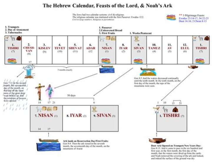 ¿Cuántos días estuvo Noé en el Arca? – Celebrity.fm