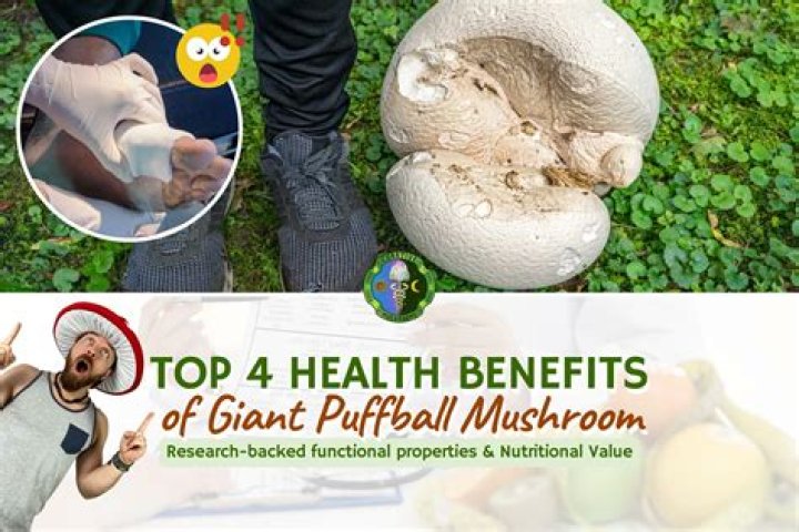 How much is a puffball mushroom worth?