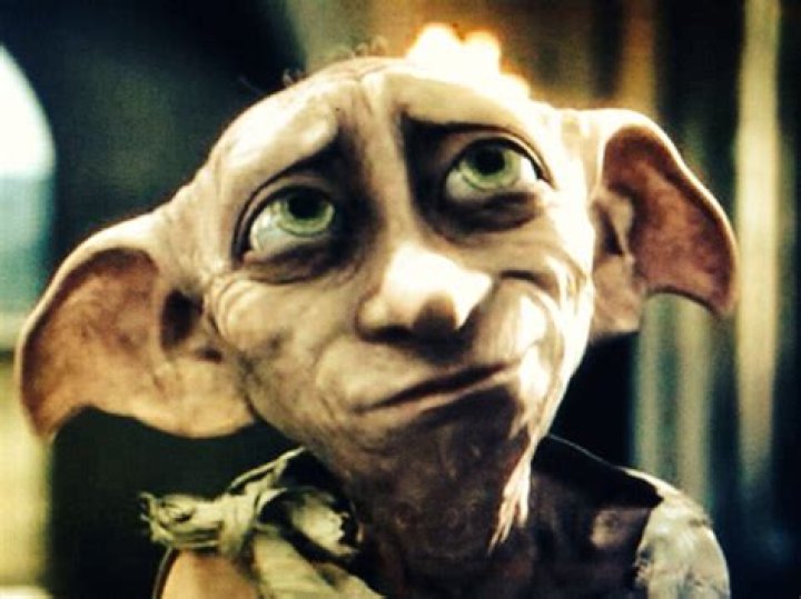 How old is Dobby? – Celebrity.fm – #1 Official Stars, Business & People Network, Wiki, Success story, Biography & Quotes