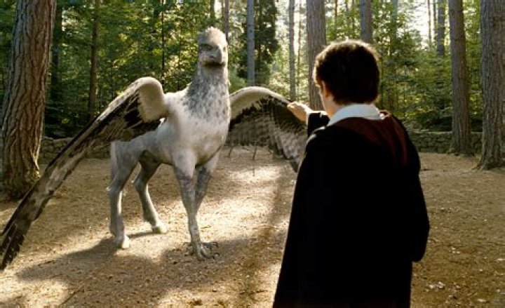 ¿Buckbeak es una niña?