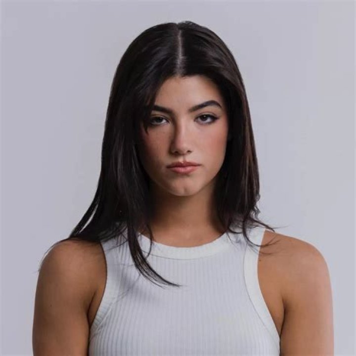 Is Charli D’Amelio single now? – Celebrity.fm – #1 Official Stars, Business & People Network, Wiki, Success story, Biography & Quotes