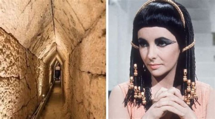 Is Cleopatras Egg real? – Celebrity.fm – #1 Official Stars, Business & People Network, Wiki, Success story, Biography & Quotes