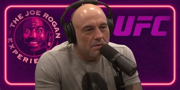 Is Joe Rogan a UFC owner?