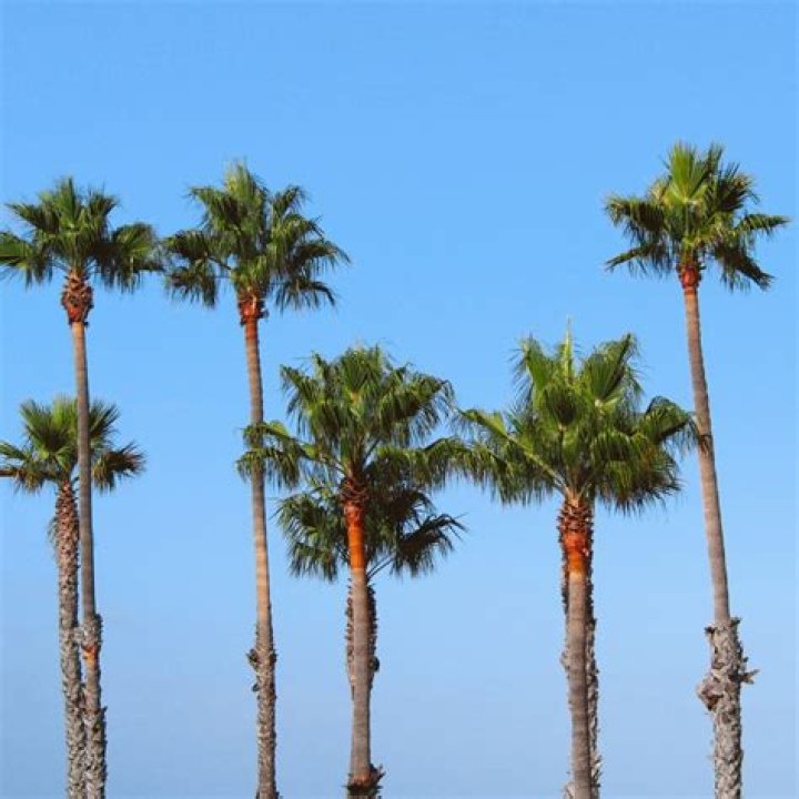 Is LA safe at night? – Celebrity.fm – #1 Official Stars, Business & People Network, Wiki, Success story, Biography & Quotes