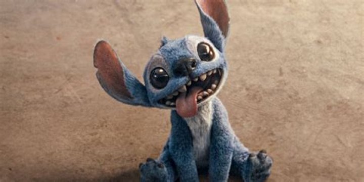 What animal is Stitch? – Celebrity.fm – #1 Official Stars, Business & People Network, Wiki, Success story, Biography & Quotes