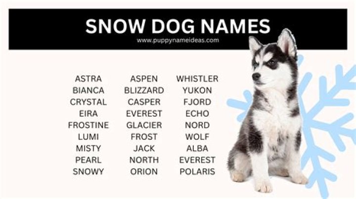 What are good names for Snow Dogs? – Celebrity.fm – #1 Official Stars, Business & People Network, Wiki, Success story, Biography & Quotes