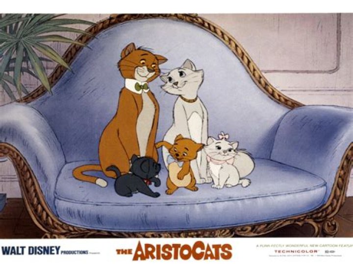 What are the 3 Aristocats names? – Celebrity.fm – #1 Official Stars, Business & People Network, Wiki, Success story, Biography & Quotes