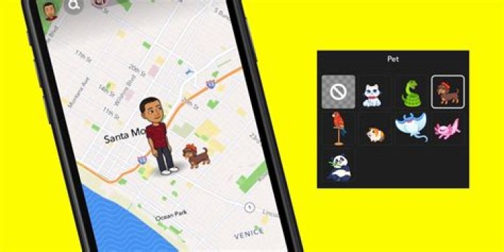 What do Bitmoji poses on Snap map mean?
