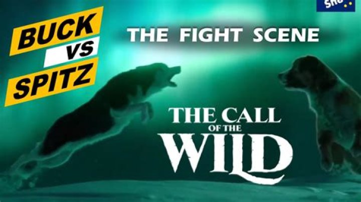 X'tagħti lil Buck Spiritfarer?