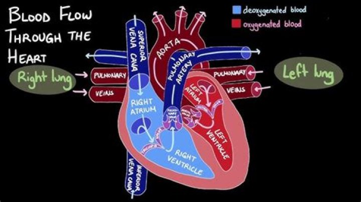 What does blood in and blood out mean? – Celebrity.fm – #1 Official Stars, Business & People Network, Wiki, Success story, Biography & Quotes