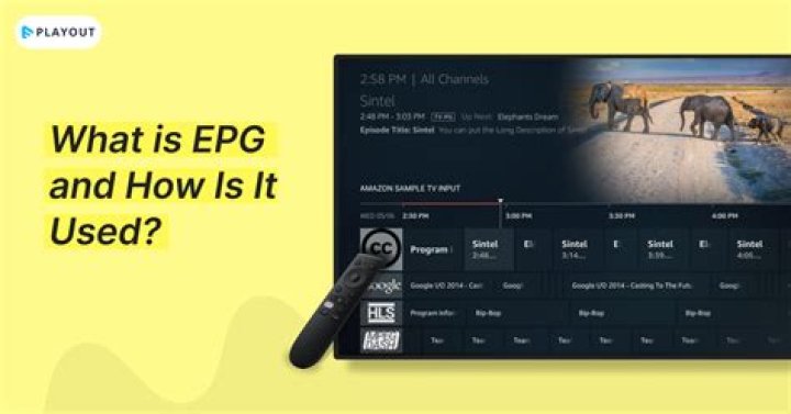 What does EPG loading mean? – Celebrity.fm – #1 Official Stars, Business & People Network, Wiki, Success story, Biography & Quotes