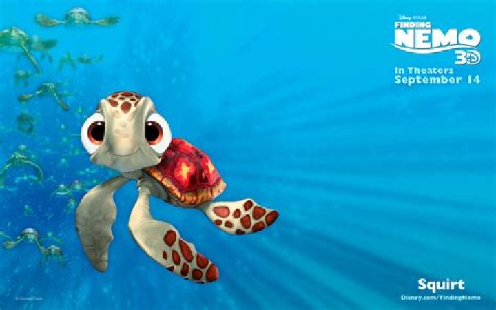Squirt Finding Nemo'da ne diyor?