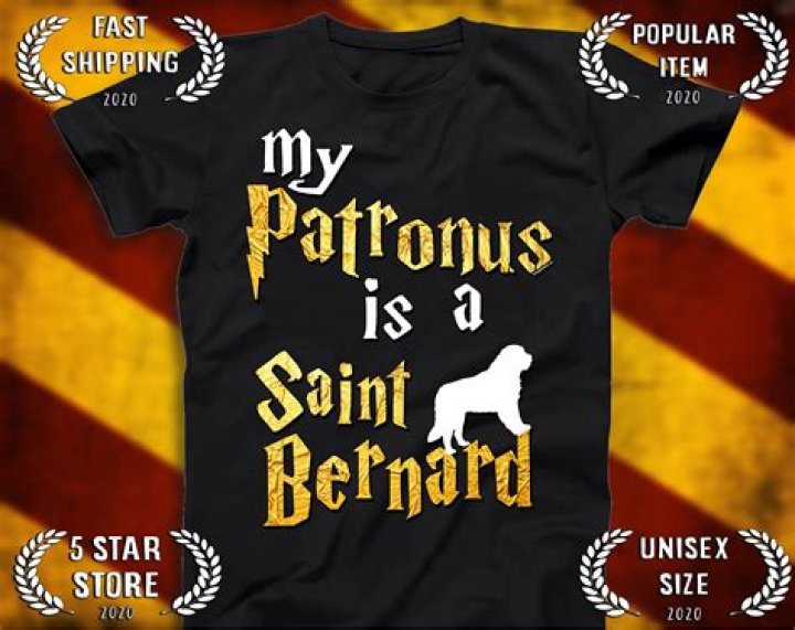 What does St Bernard Patronus mean? – Celebrity.fm – #1 Official Stars, Business & People Network, Wiki, Success story, Biography & Quotes