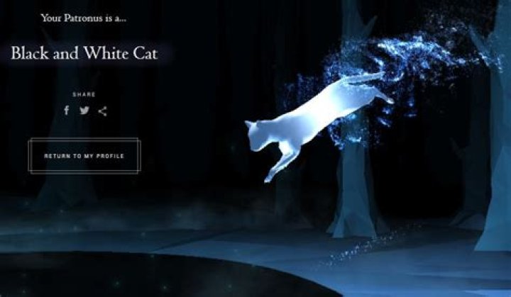 What does the black and white cat Patronus mean?