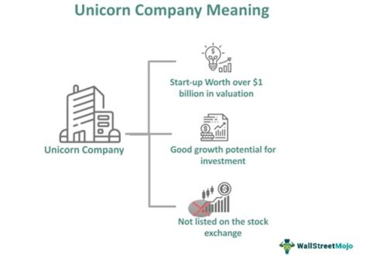 ¿Qué es la personalidad de un unicornio? – Celebrity.fm