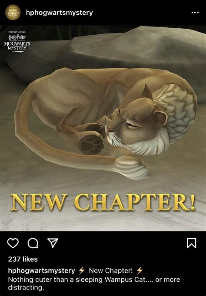 What is a wampus Harry Potter? – Celebrity.fm – #1 Official Stars, Business & People Network, Wiki, Success story, Biography & Quotes