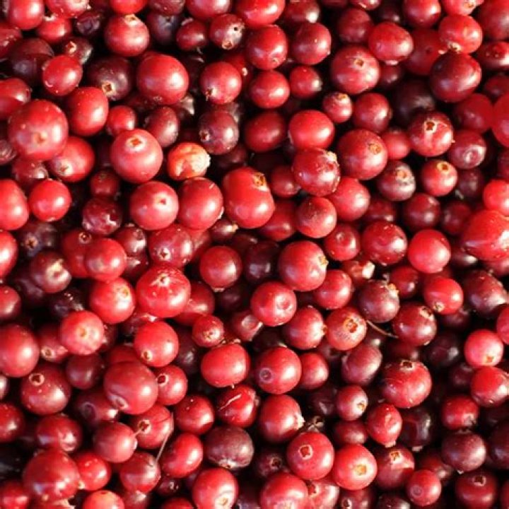 What is cranberries net worth? – Celebrity.fm – #1 Official Stars, Business & People Network, Wiki, Success story, Biography & Quotes