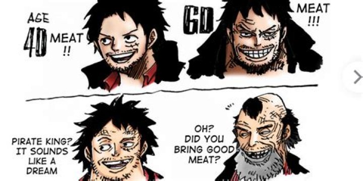 What is Luffy age? – Celebrity.fm – #1 Official Stars, Business & People Network, Wiki, Success story, Biography & Quotes