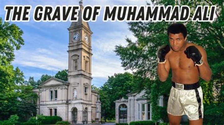 What is Muhammad Ali’s net worth? – Celebrity.fm – #1 Official Stars, Business & People Network, Wiki, Success story, Biography & Quotes
