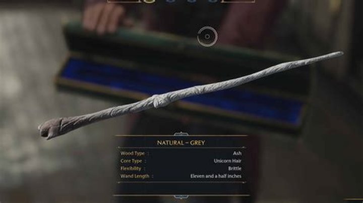 What is Newt’s wand core made of? – Celebrity.fm – #1 Official Stars, Business & People Network, Wiki, Success story, Biography & Quotes
