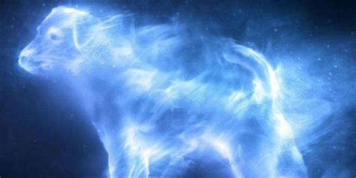 What is Ron’s Patronus? – Celebrity.fm – #1 Official Stars, Business & People Network, Wiki, Success story, Biography & Quotes
