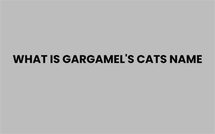 What is the name of Gargamel’s cat? – Celebrity.fm – #1 Official Stars, Business & People Network, Wiki, Success story, Biography & Quotes