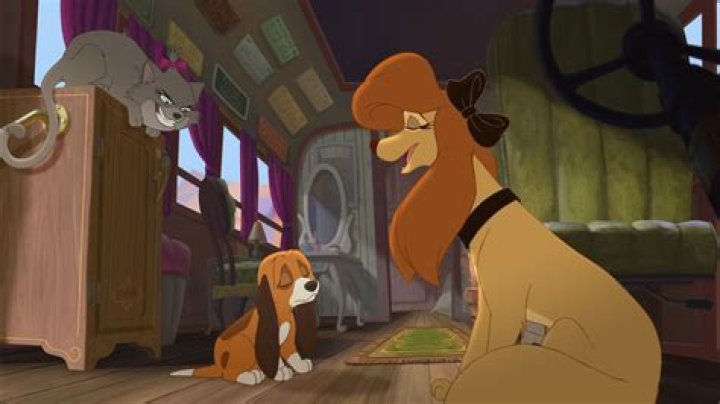 What kind of dog is Dixie from Fox and the Hound 2?
