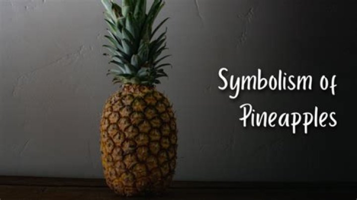 What pineapple means in slang? – Celebrity.fm – #1 Official Stars, Business & People Network, Wiki, Success story, Biography & Quotes