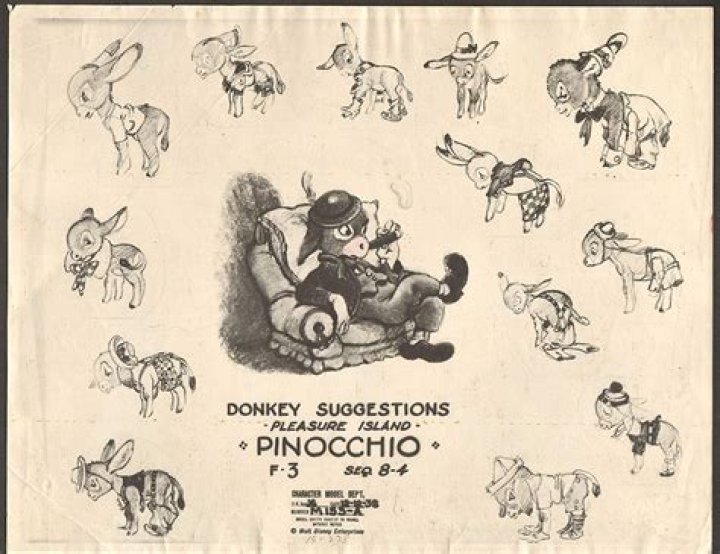 What turned the kids into donkeys in Pinocchio?
