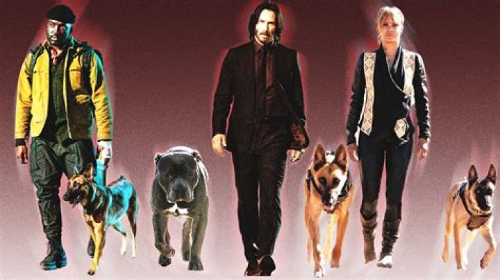 What type of dog is El Diablo? – Celebrity.fm – #1 Official Stars, Business & People Network, Wiki, Success story, Biography & Quotes