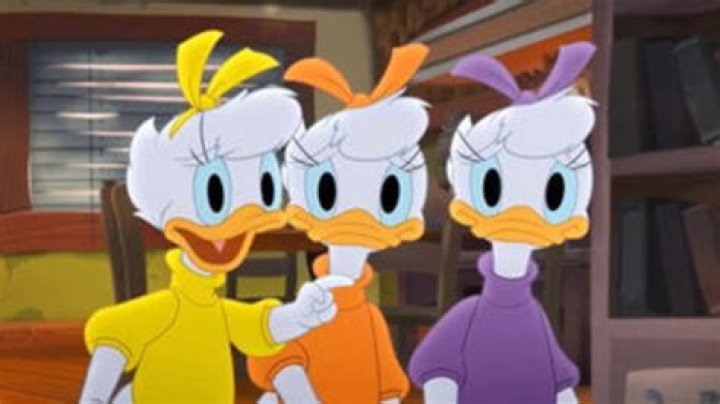 ¿Dónde está la hermana del pato Donald? – Celebrity.fm