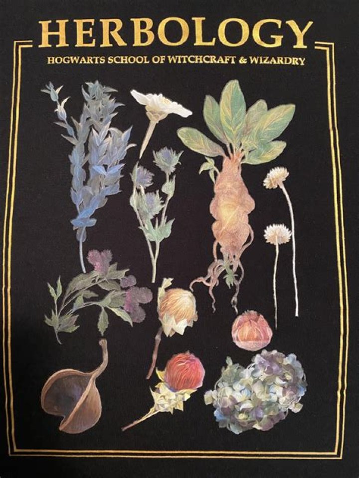 Which Greenhouse are the second years in for Herbology?