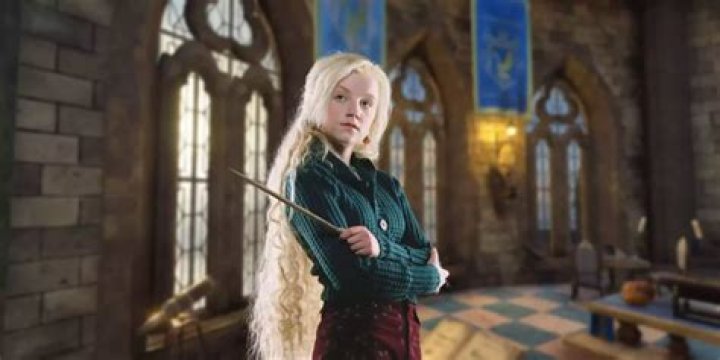 Who are Nargles in Harry Potter?