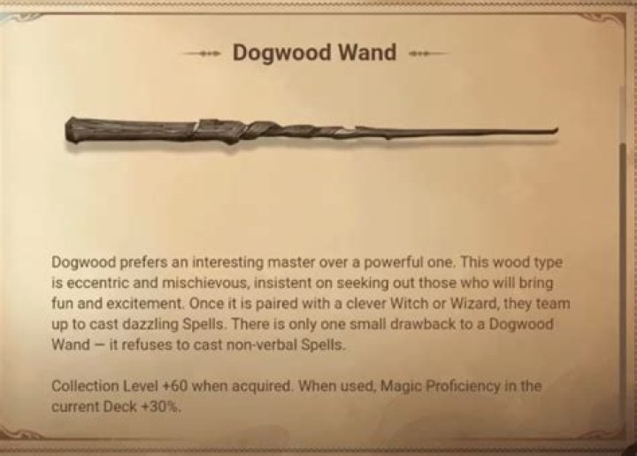 Who has a dogwood wand in Harry Potter? – Celebrity.fm – #1 Official Stars, Business & People Network, Wiki, Success story, Biography & Quotes