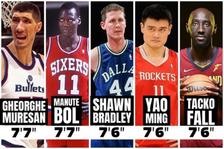 Who is the tallest NBA player right now? – Celebrity.fm – #1 Official Stars, Business & People Network, Wiki, Success story, Biography & Quotes