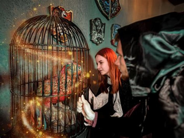 Who messed up Harry’s room in Chamber of Secrets?