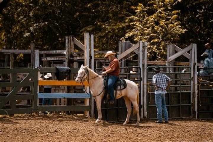 Kuka omistaa Saddle Ranchin?